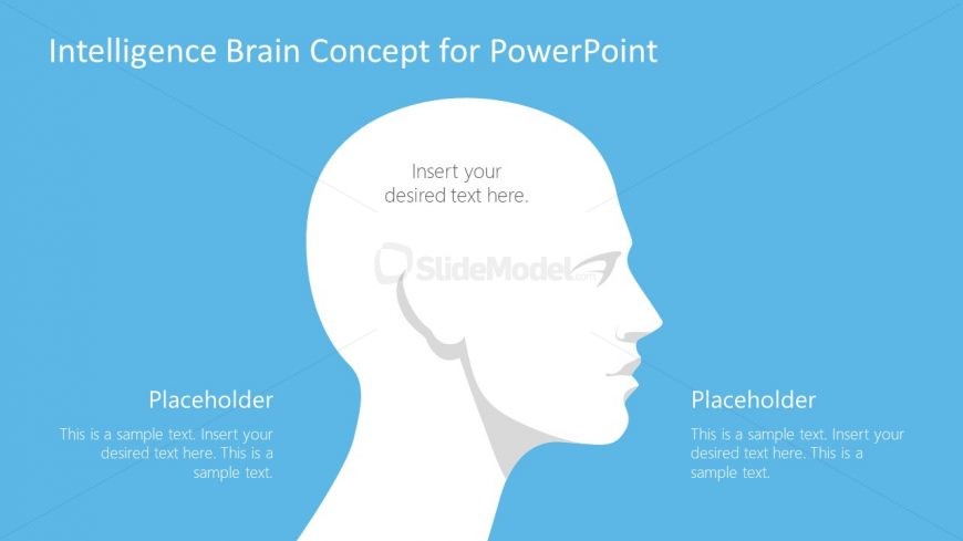 Presentation of Human Head Intelligence Concepts